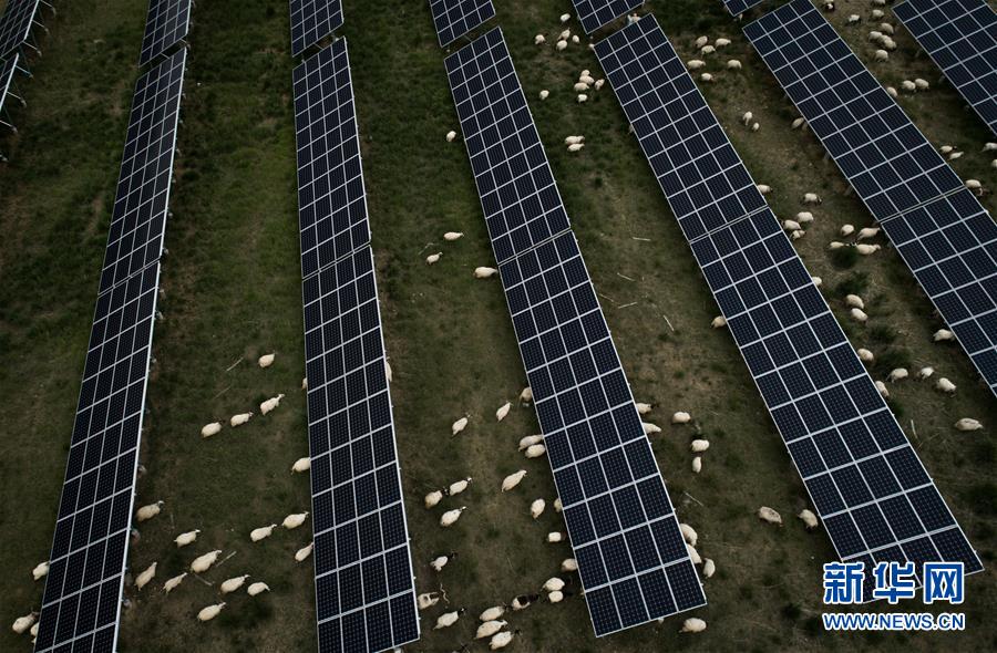 （新華全媒頭條&middot;走向我們的小康生活&middot;決戰(zhàn)決勝脫貧攻堅(jiān)&middot;圖文互動(dòng)）（3）高原上綻放的光芒&mdash;&mdash;來自青海攻克深度貧困堡壘的故事