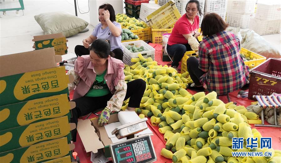 （決戰(zhàn)決勝脫貧攻堅&middot;圖文互動）（3）同飲一江水 攜手&ldquo;斬窮根&rdquo;&mdash;&mdash;深圳對口廣西河池、百色扶貧協作見聞