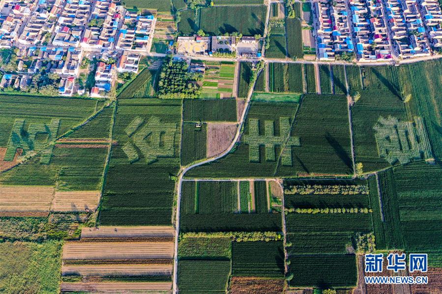 （新華全媒頭條&middot;圖文互動）（3）天道酬勤的大地贊歌&mdash;&mdash;寫在第三個中國農民豐收節之際