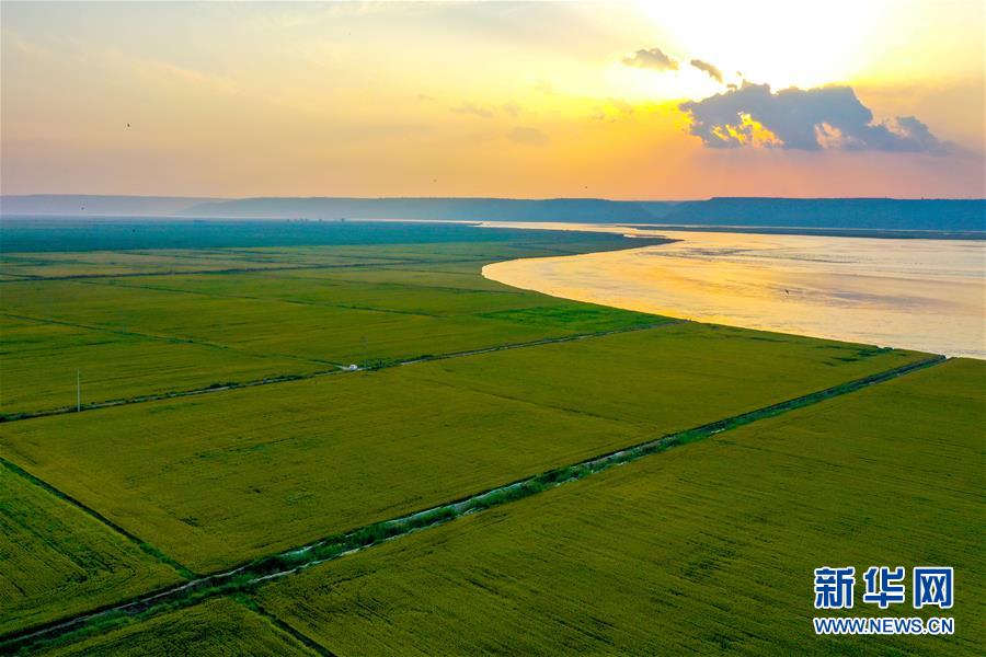 （新華全媒頭條&middot;圖文互動）（4）天道酬勤的大地贊歌&mdash;&mdash;寫在第三個中國農民豐收節之際