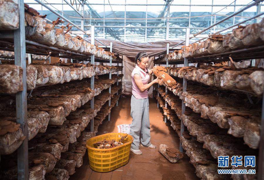 (新華全媒頭條·走向我們的小康生活·圖文互動)(3)特殊之年,荊楚大地書寫不平凡的答卷