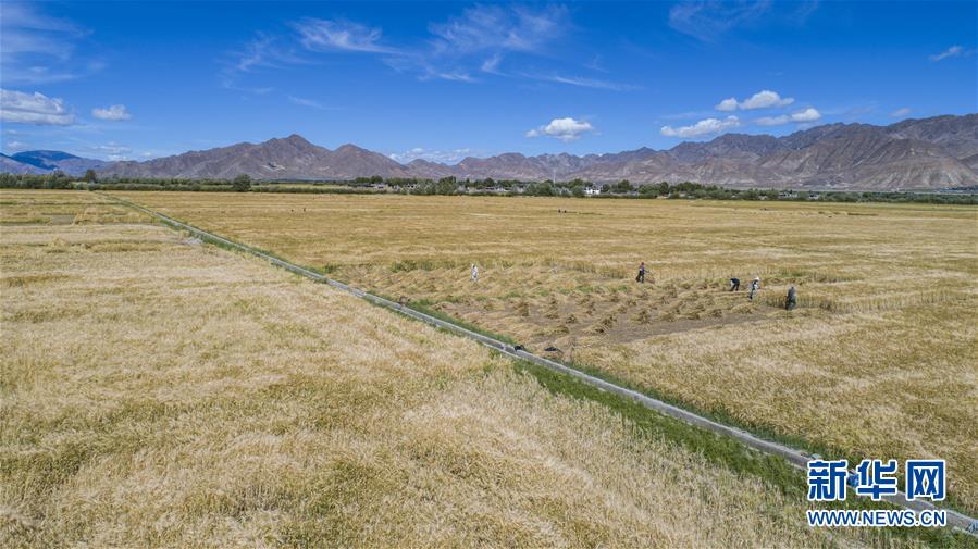 (新華全媒頭條·走向我們的小康生活·圖文互動)(11)扎西德勒,我們的新家園——西藏易地扶貧搬遷搬出幸福美好新生活