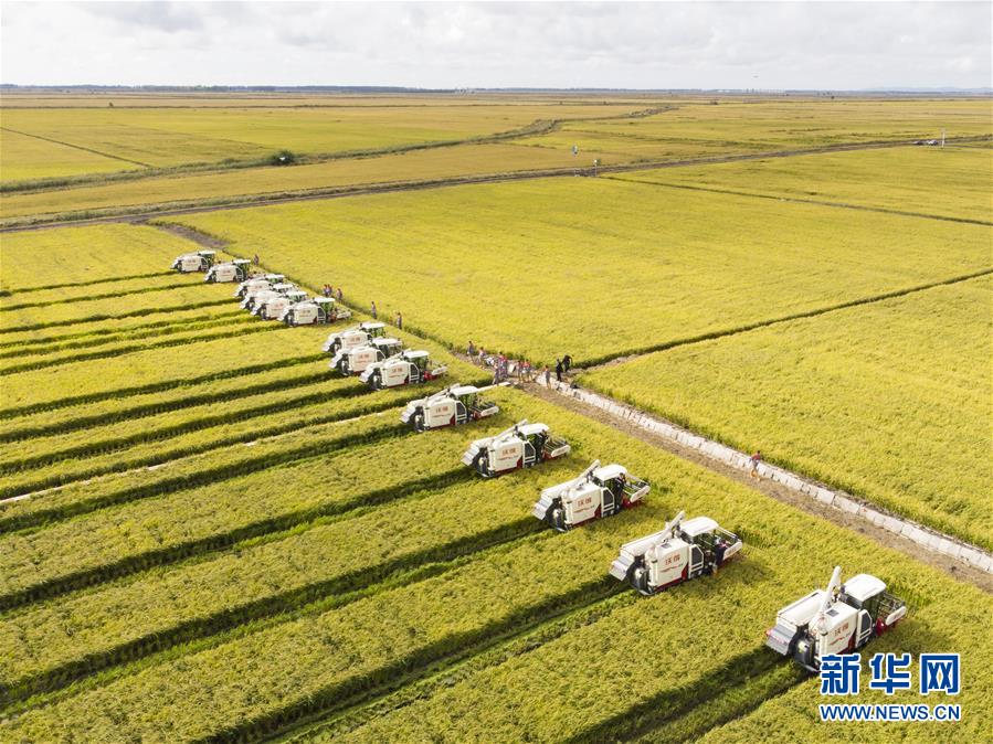 （新華全媒頭條&middot;圖文互動）（15）奮斗結碩果，再寫新篇章&mdash;&mdash;寫在共和國71周年華誕之際