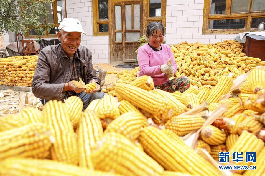 （全面建成小康社會&ldquo;百城千縣萬村調研行&rdquo;&middot;圖文互動）（4）寧夏華寺村：做活&ldquo;土&rdquo;文章 村民享小康