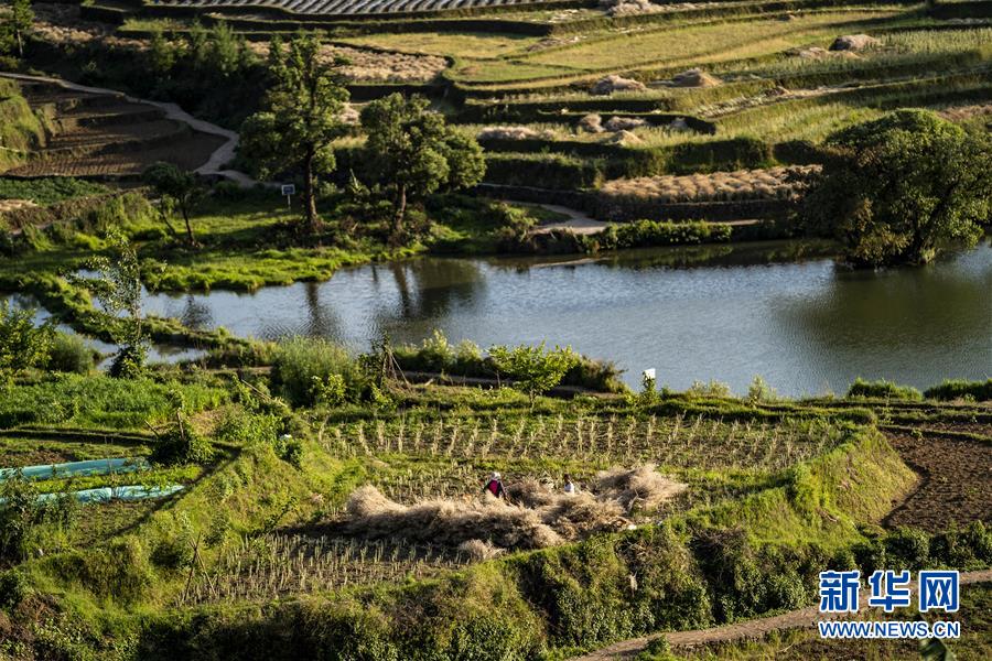 (集中連片特困地區(qū)貧困村調(diào)研行·圖文互動)(4)阿佤人民再唱新歌——云南騰沖市三家村中寨司莫拉佤族村脫貧調(diào)查