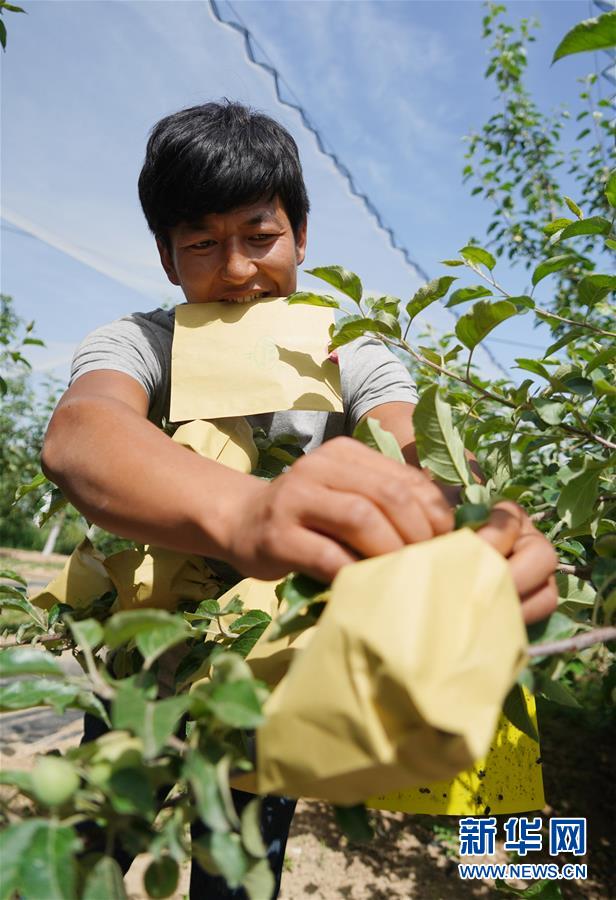 （習(xí)近平的小康故事&middot;圖文互動(dòng)）（2）&ldquo;我很期盼的一件事，就是讓鄉(xiāng)親們飽餐一頓肉&rdquo;&mdash;&mdash;習(xí)近平和脫貧攻堅(jiān)的故事