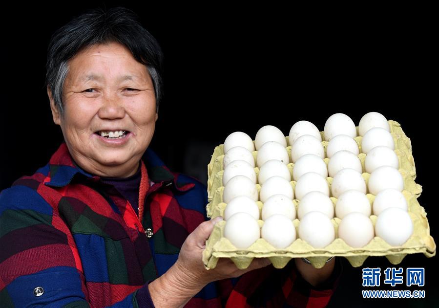 （決戰決勝脫貧攻堅&middot;圖文互動）（3）17代人追逐的夢想實現了&mdash;&mdash;記冀南平原劉秋口村變遷 