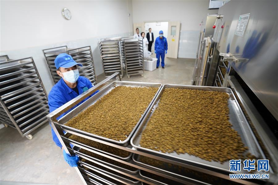 （決戰決勝脫貧攻堅&middot;圖文互動）（3）重慶三峽庫區從&ldquo;中華藥庫&rdquo;里探尋脫貧致富&ldquo;良方&rdquo;