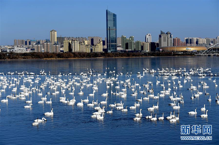 （新華全媒頭條&middot;圖文互動(dòng)）（14）中國(guó)道路越走越寬廣&mdash;&mdash;社會(huì)主義中國(guó)實(shí)踐啟示錄