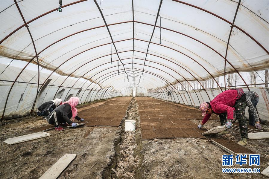 （在習近平新時代中國特色社會主義思想指引下&mdash;&mdash;新時代新作為新篇章&middot;習近平總書記關切事&middot;圖文互動）（6）春耕忙 信心足&mdash;&mdash;谷雨時節走馬東北直擊糧事