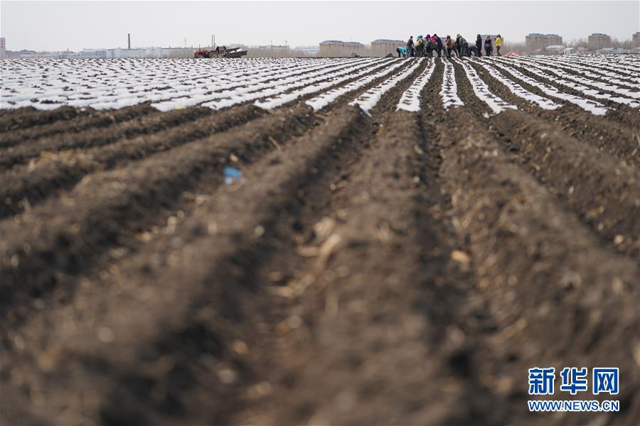 (在習近平新時代中國特色社會主義思想指引下——新時代新作為新篇章·習近平總書記關切事·圖文互動)(3)讓每一寸耕地都成為豐收的沃土——我國加強耕地保護推進“藏糧于地”