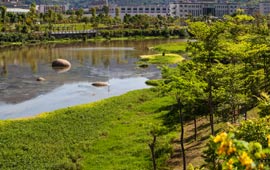 農村水能資源開發現狀