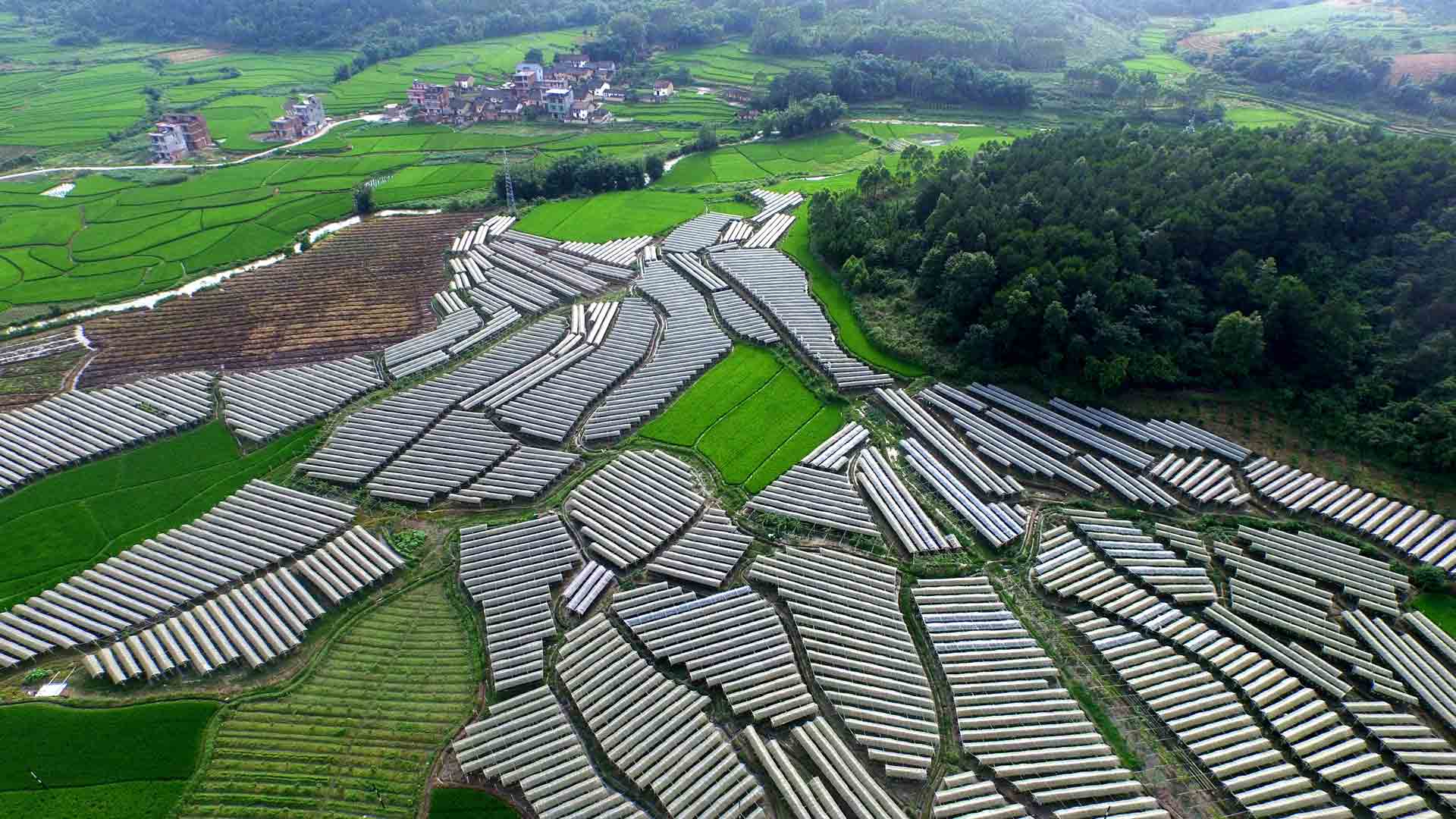 【建黨95周年&middot;光輝歷程】打贏脫貧攻堅戰