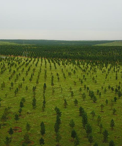 內蒙古初步建成橫跨我國三北的生態屏障