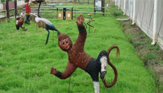 動畫片主角&ldquo;化身&rdquo;稻草人亮相宜興農田