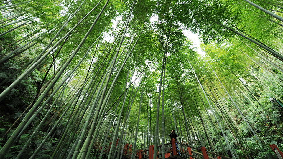 合作共治、責任共擔、效益共享&mdash;&mdash;赤水河流域跨省生態補償取得積極成效