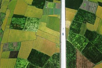 金秋大地&ldquo;調色板&rdquo;