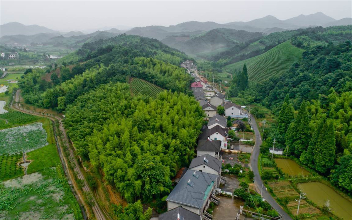 從2003年起，浙江省開展了&ldquo;千村示范、萬村整治&rdquo;工程