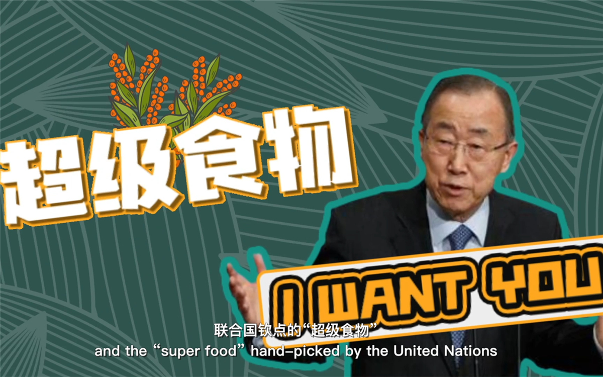 聯合國將藜麥視為抗擊饑餓的&ldquo;超級食物&rdquo;，大力推廣