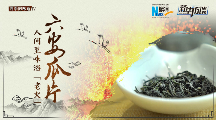 六安瓜片：人間至味浴&ldquo;老火&rdquo;