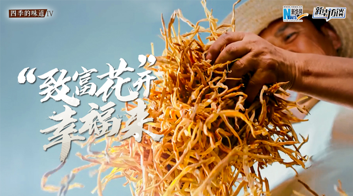 &ldquo;致富花&rdquo;開幸福來