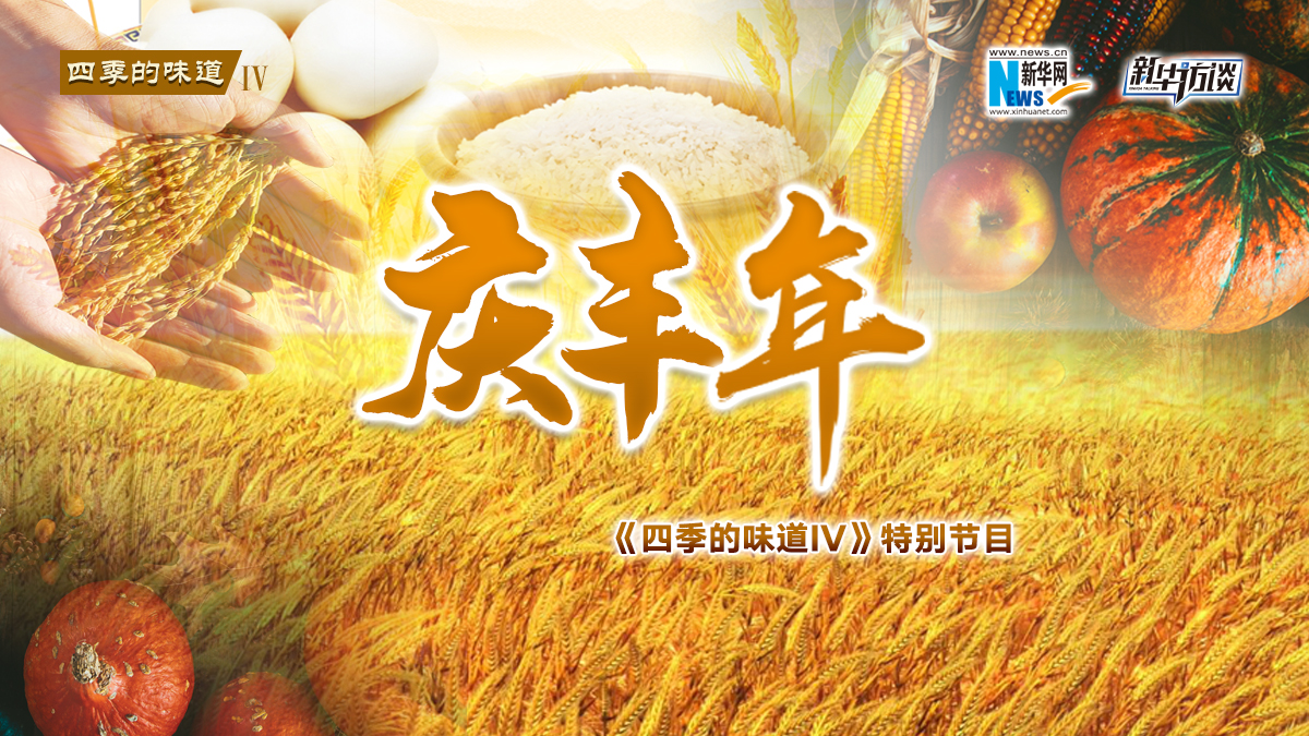 特別節目&middot;慶豐年