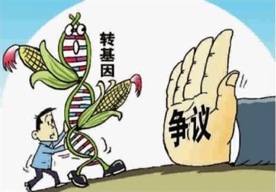 韓長賦:我國未批準任何一種轉基因糧食作物商業化種植