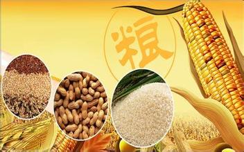 韓長賦:我們第一位職責是要保障全國人民能夠到點開飯