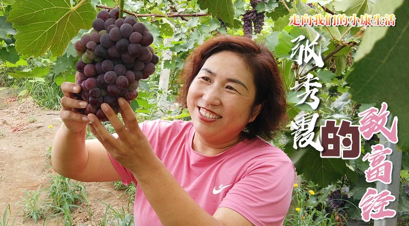 張秀霞的&ldquo;致富經&rdquo;