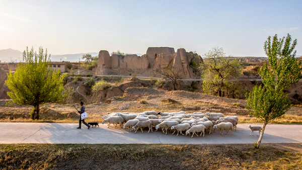 追夢足跡｜上馬圈：鐵馬冰河，黃土斑駁