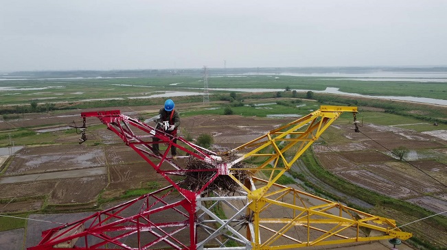 萌萌噠 東方白鸛寶寶鐵塔上開通&ldquo;直播間&rdquo;