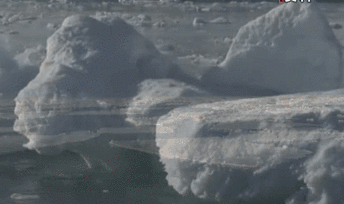 聯合國環境署發布全球環境報告：人類對自然的&ldquo;自殺式戰爭&rdquo;釀成三大危機