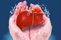 【健康解碼】轉氨酶正常肝臟就一定正常嗎？