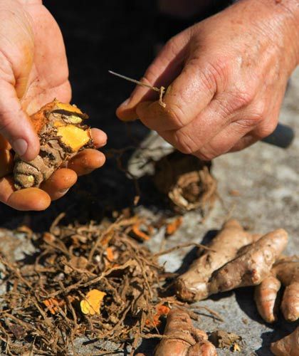 把當地特產帶回家