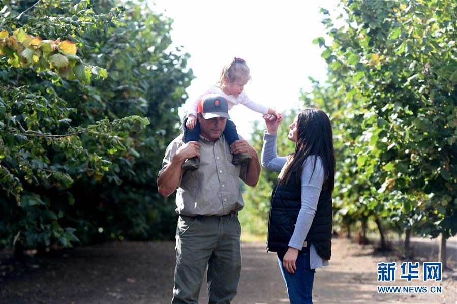 (國際·圖文互動(dòng))(2)“這些樹寄托著我們對(duì)中國市場的信心”——探訪美俄勒岡州榛子果農(nóng)