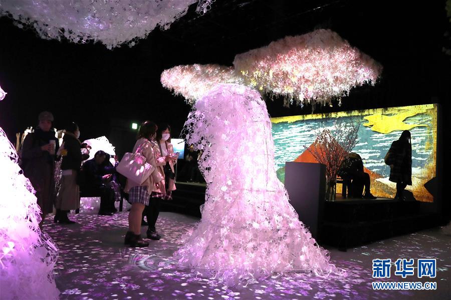 （國際）（1）日本東京：寒冬時節賞&ldquo;繁花&rdquo; 