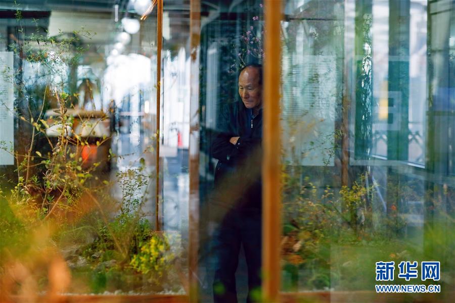 （國際&middot;圖文互動）（4）通訊：敲響半島和平鐘聲&mdash;&mdash;走訪韓朝非軍事區首爾藝術展