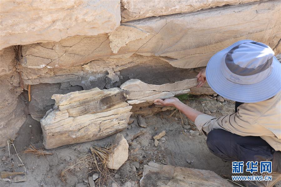 （國際&middot;圖文互動）（8）疫中考古&mdash;&mdash;中國與埃及首次聯合考古取得階段性成果