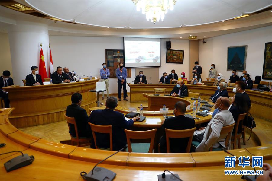 （國際&middot;圖文互動）埃及文化部舉辦&ldquo;中埃文化關系&rdquo;專題研討會