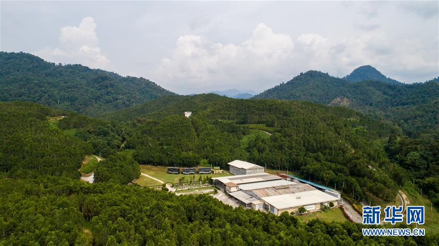 (第三屆進博會·圖文互動)(1)專訪:進博會提供了一個共享中國發(fā)展機遇的平臺