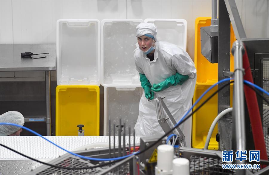 （第三屆進博會&middot;圖文互動）（2）通訊：新西蘭的進博會味道，甜