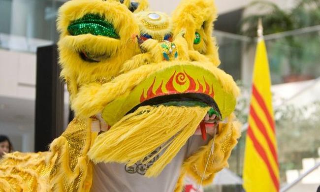 越南華僑華人&ldquo;舞獅&rdquo;迎佳節