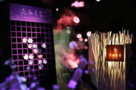 日本東京：寒冬時節賞&ldquo;繁花&rdquo;