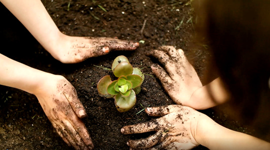 【微視頻】世界環(huán)境日丨對“你”的保護(hù),不是說說而已